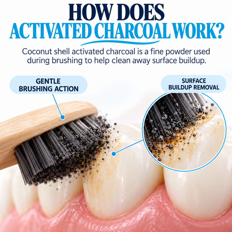 Educational graphic explaining the function of activated charcoal toothbrush bristles. It shows a close-up of a toothbrush with black activated charcoal particles on the bristles, labeled 'GENTLE BRUSHING ACTION,' and a circular inset labeled 'SURFACE BUILDUP REMOVAL,' over a graphic of human teeth and gums.